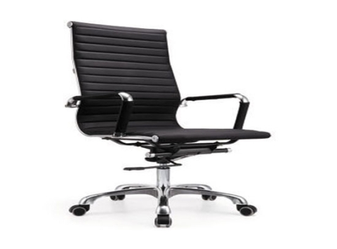 Director Chair DC 22