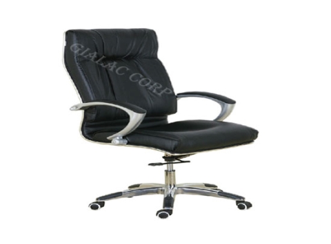 Director Chair DC 02