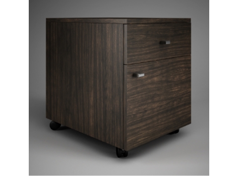 cabinets GL 22