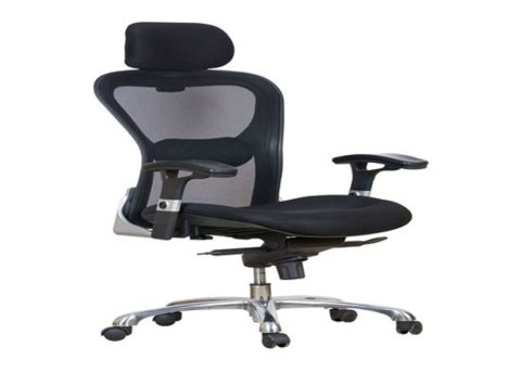 Director Chair DC 13