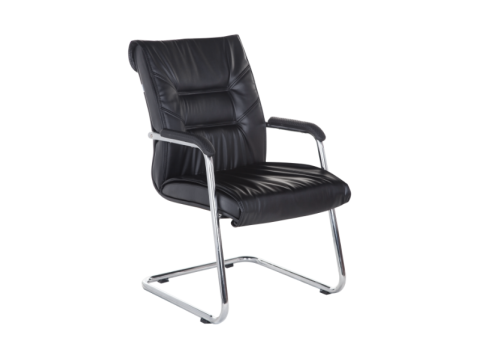 Meeting Chair MC 21