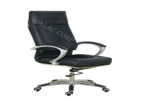 Director Chair DC 20